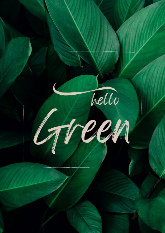 Christelle Buffet Beauté & Bien-Être, l'Institut éco-responsable