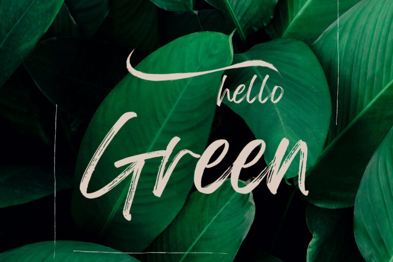 Christelle Buffet Beauté & Bien-Être, l'Institut éco-responsable